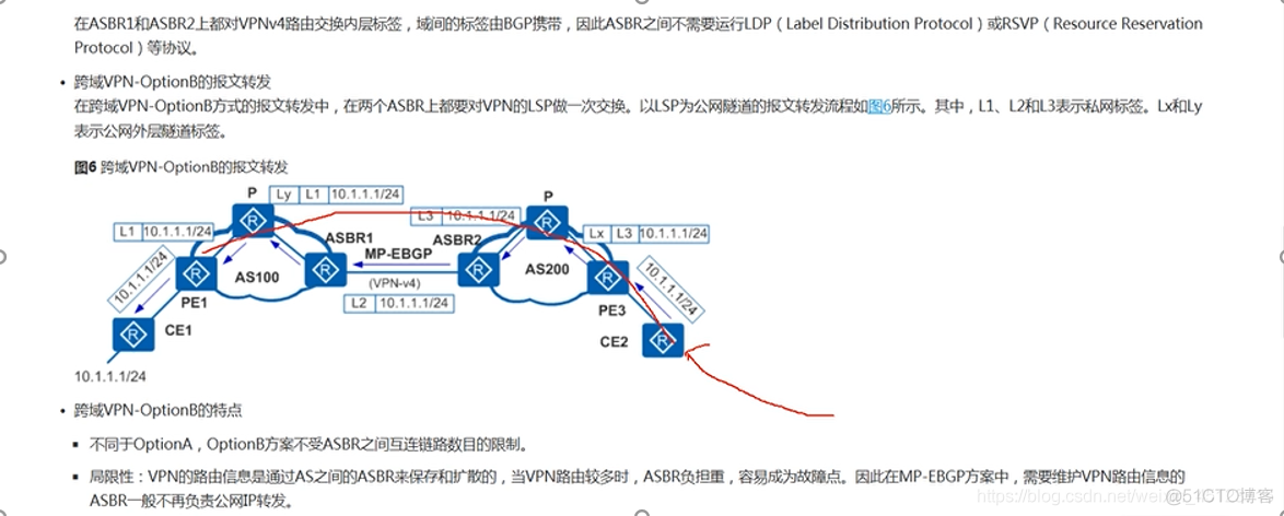 MPLS穿域方案 跨域mpls三种_抓包_73