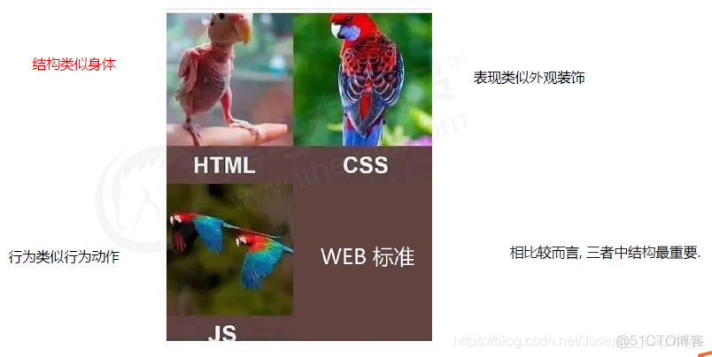 一个完整HTML5文档分为哪两部份 一个html网页文件通常包括_HTML_06