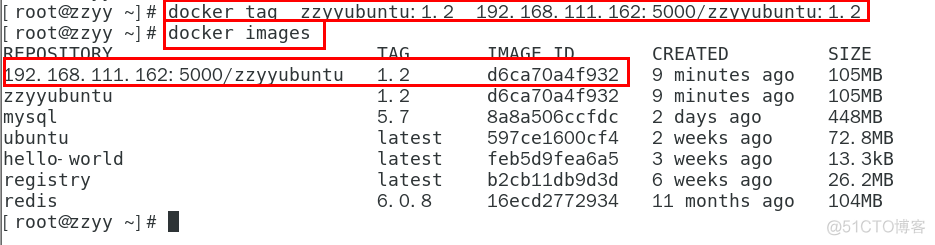 docker 列出私有镜像 docker镜像上传到私有仓库_ubuntu_11