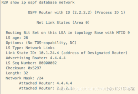 Ospf引入vrf OSPF引入BGP路由未生成LSA_路由表_03