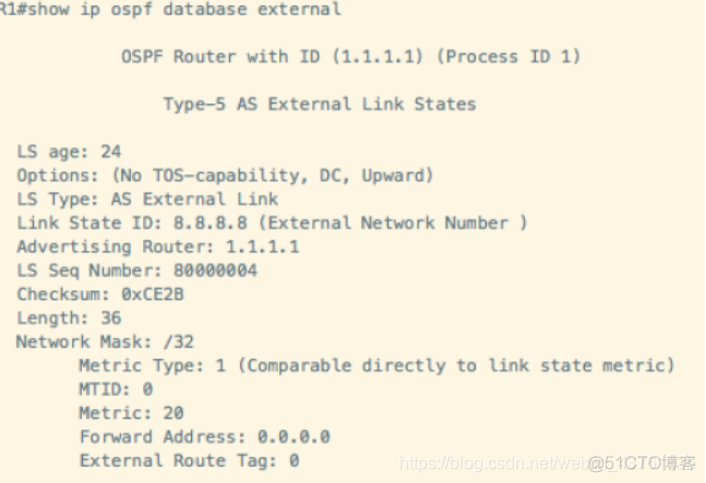Ospf引入vrf OSPF引入BGP路由未生成LSA_应用场景_04