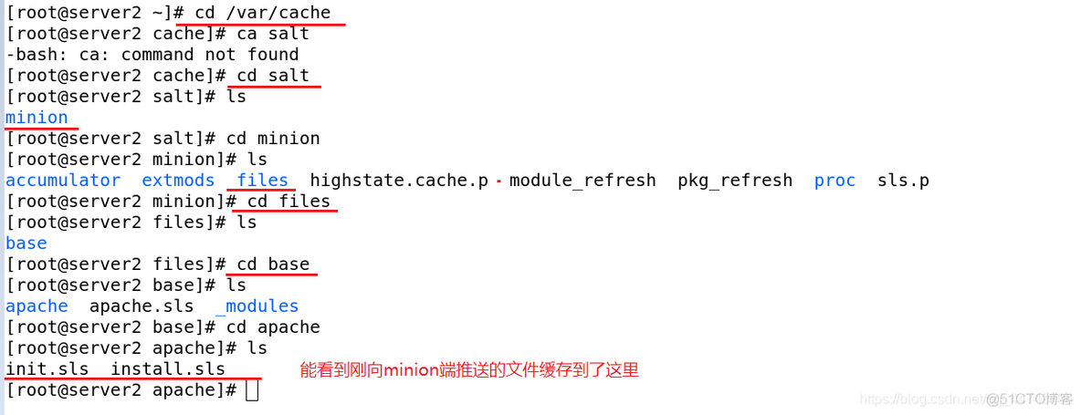 saltstack state文件传参 saltstack有哪些优点_nginx_57