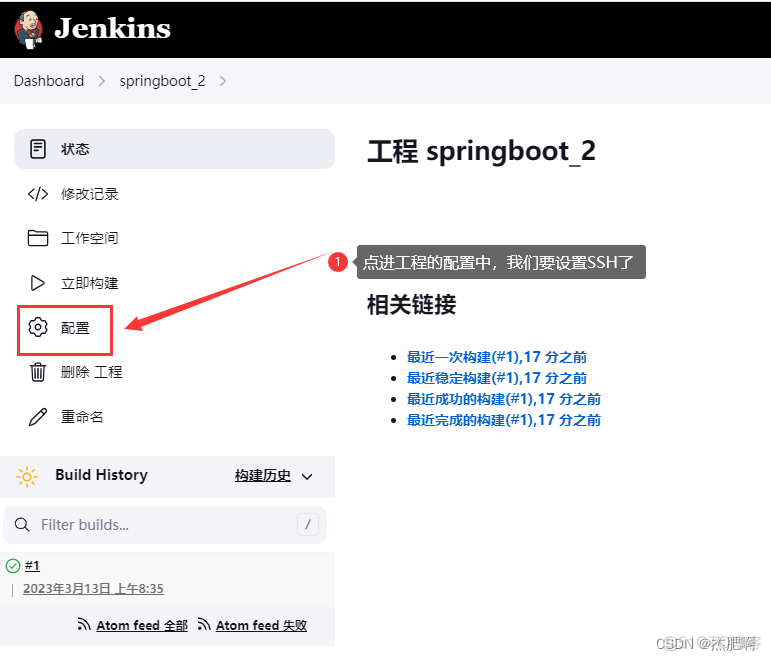 jekins docker 部署springboot项目 jenkins部署springboot到docker_docker_23