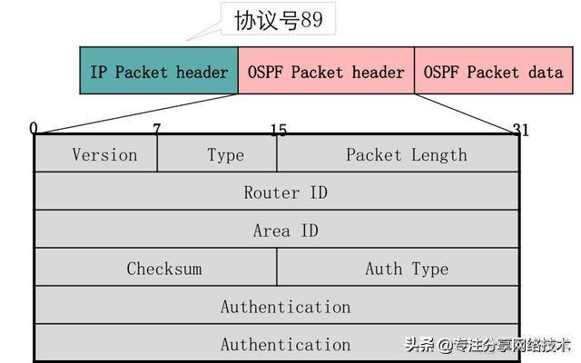 进行ospf点到点链路形成邻接状态的时间可以参考 ospf点到点网络_点到点_06