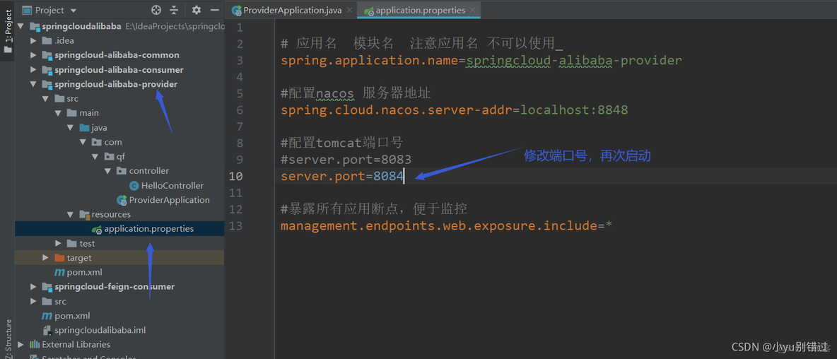 springcloud alibaba支付中心架构图 springcloud alibaba 组件_spring boot_15