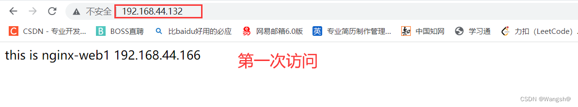 nginx 透传client ip nginx负载均衡策略ip透传_nginx 透传client ip_03