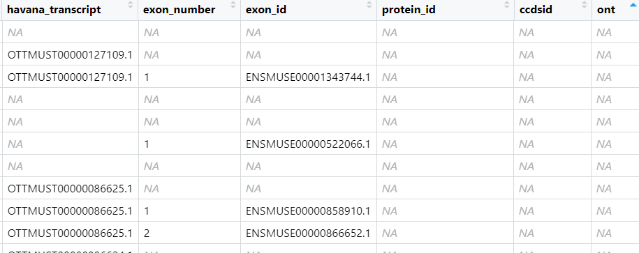 Ensembl下载gtf文件 .gtf文件_html_12