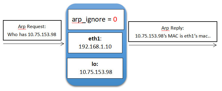 centos arp查看缓存上限 linux arp查看_数据库