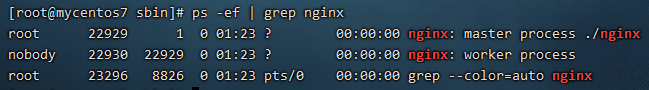 nginx linux官网 nginx linux版本_windows