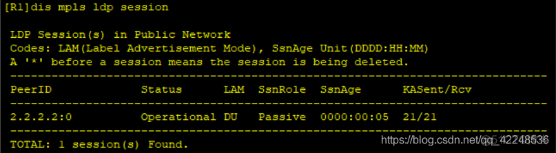 mpls option b配置 mpls ce配置_运营商_14