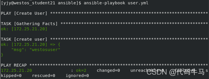 ansible剧本中with_items引用变量 ansible 变量赋值_linux_02