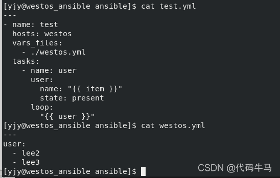 ansible剧本中with_items引用变量 ansible 变量赋值_文件名_03