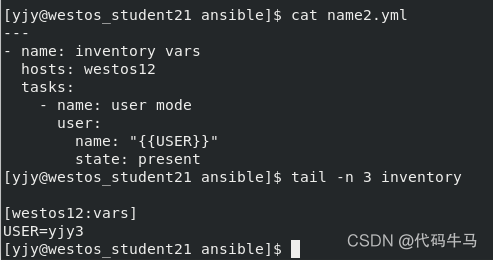 ansible剧本中with_items引用变量 ansible 变量赋值_文件名_07