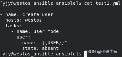 ansible剧本中with_items引用变量 ansible 变量赋值_linux_10