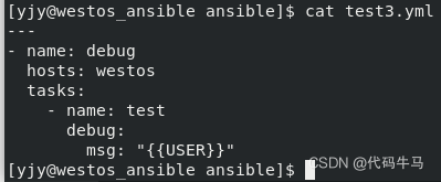 ansible剧本中with_items引用变量 ansible 变量赋值_vim_13