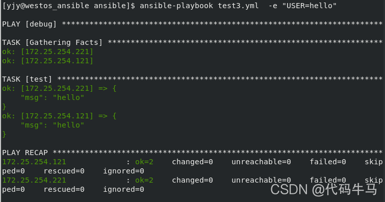 ansible剧本中with_items引用变量 ansible 变量赋值_vim_14