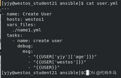 ansible剧本中with_items引用变量 ansible 变量赋值_vim_16