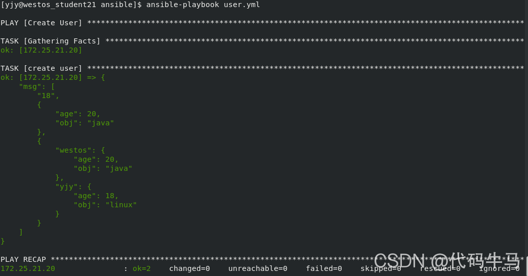 ansible剧本中with_items引用变量 ansible 变量赋值_运维_17