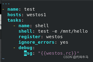 ansible剧本中with_items引用变量 ansible 变量赋值_运维_18