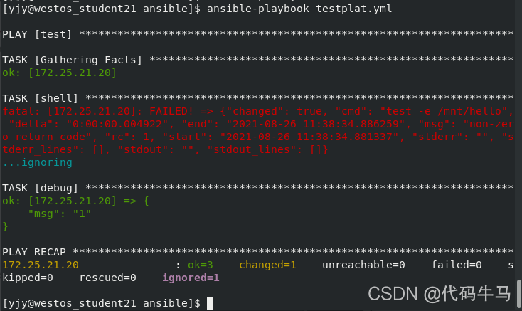 ansible剧本中with_items引用变量 ansible 变量赋值_文件名_19