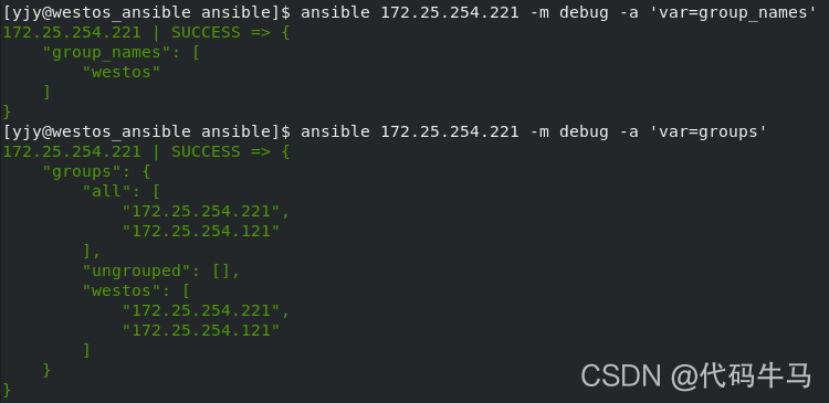 ansible剧本中with_items引用变量 ansible 变量赋值_vim_23