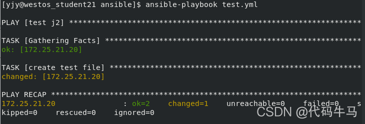 ansible剧本中with_items引用变量 ansible 变量赋值_文件名_28