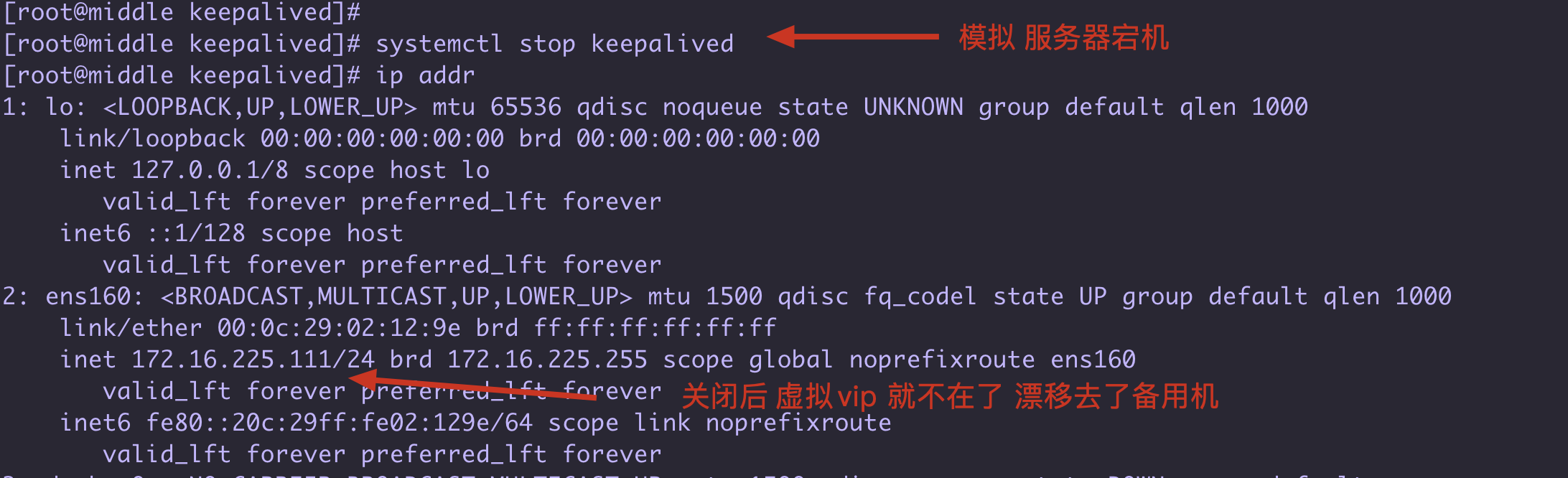 keepalived备机出现vip keepalive主备_高可用_04