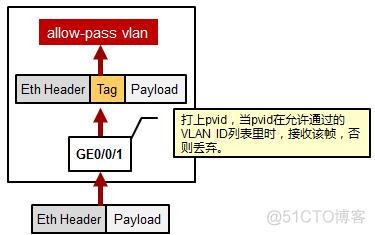 Tg交换机怎么配置vlan tp vlan交换机_数据帧_12