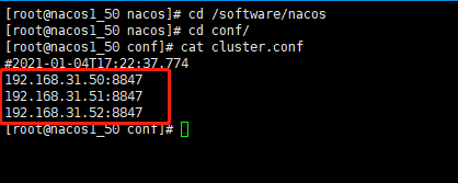 nacos容器集群 客户端地址 nacos集群安装_nacos容器集群 客户端地址_03