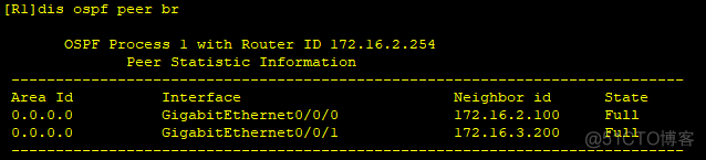 vrf之间ospf vrrp+ospf_华为_02