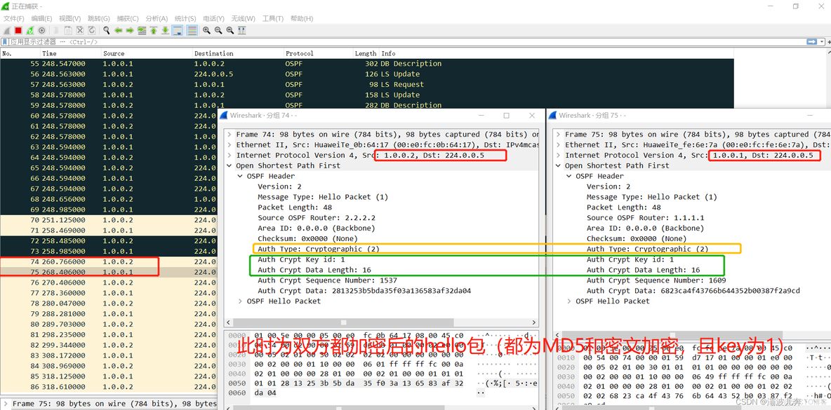 ospf 认证测试 ospf身份验证_OSPF_03