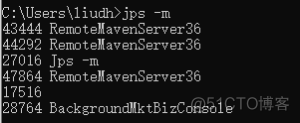 jps显示 process information jps显示器显示没有运行_java_04