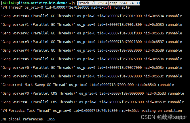 jps显示 process information jps显示器显示没有运行_linux_12