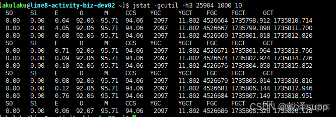 jps显示 process information jps显示器显示没有运行_linux_13