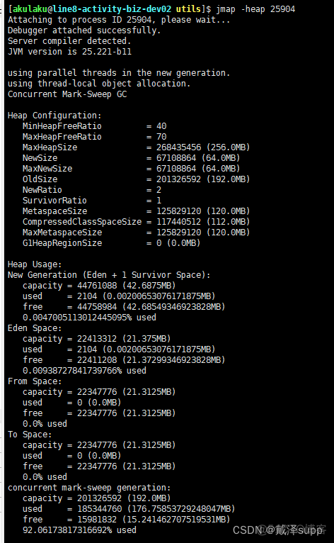 jps显示 process information jps显示器显示没有运行_JVM_14