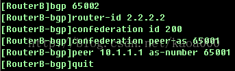 ibgp怎么敲命令 ibgp配置_ibgp怎么敲命令_10