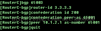 ibgp怎么敲命令 ibgp配置_链路_11