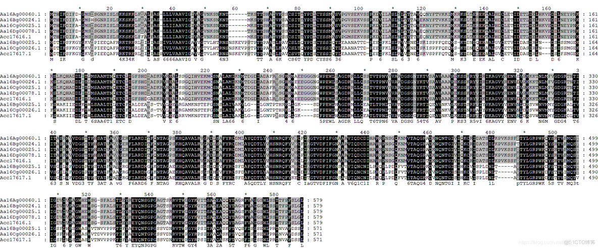 DNA 多序列比对 工具 PYTHON dnaman如何进行多序列比对_DNA 多序列比对 工具 PYTHON_06