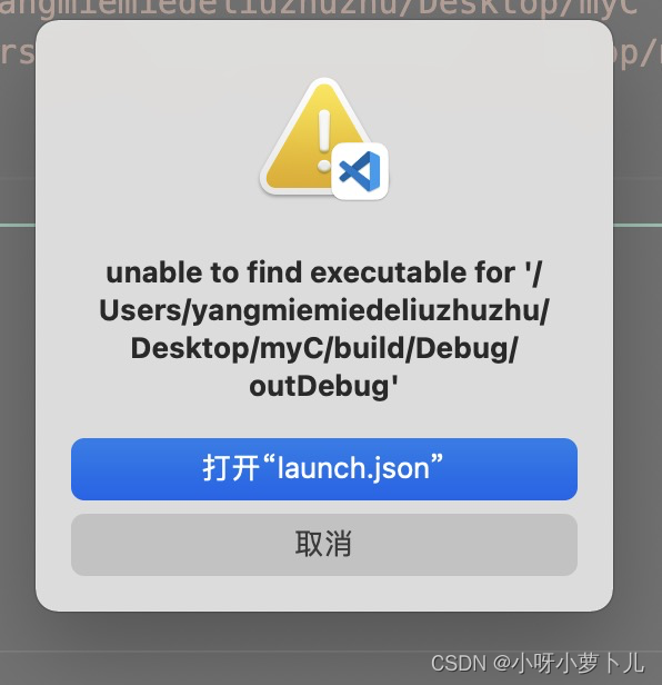 mac vscodepython配置环境 vscode mac配置c++环境_学习_27