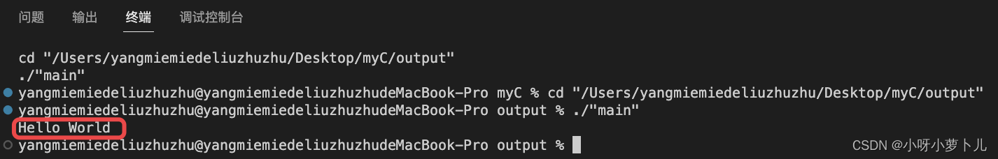 mac vscodepython配置环境 vscode mac配置c++环境_c++_32