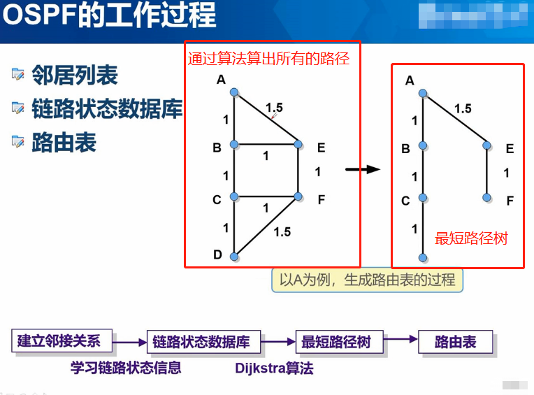 ospf中option字段简介 ospfv3 option字段_计算机基础_05