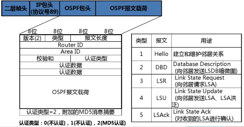 ospf 什么场景下用network 路由条件 ospf路由inactive_数据库_02