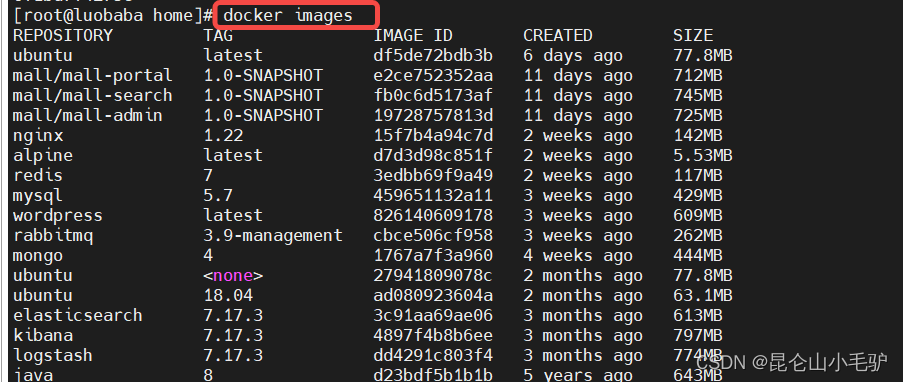 docker gpu 切换卡 docker切换到linux容器模式_docker_05