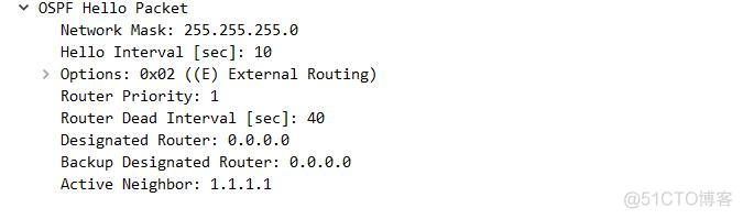 ospf查看有几个下一跳 ospf查看dr_链路_03