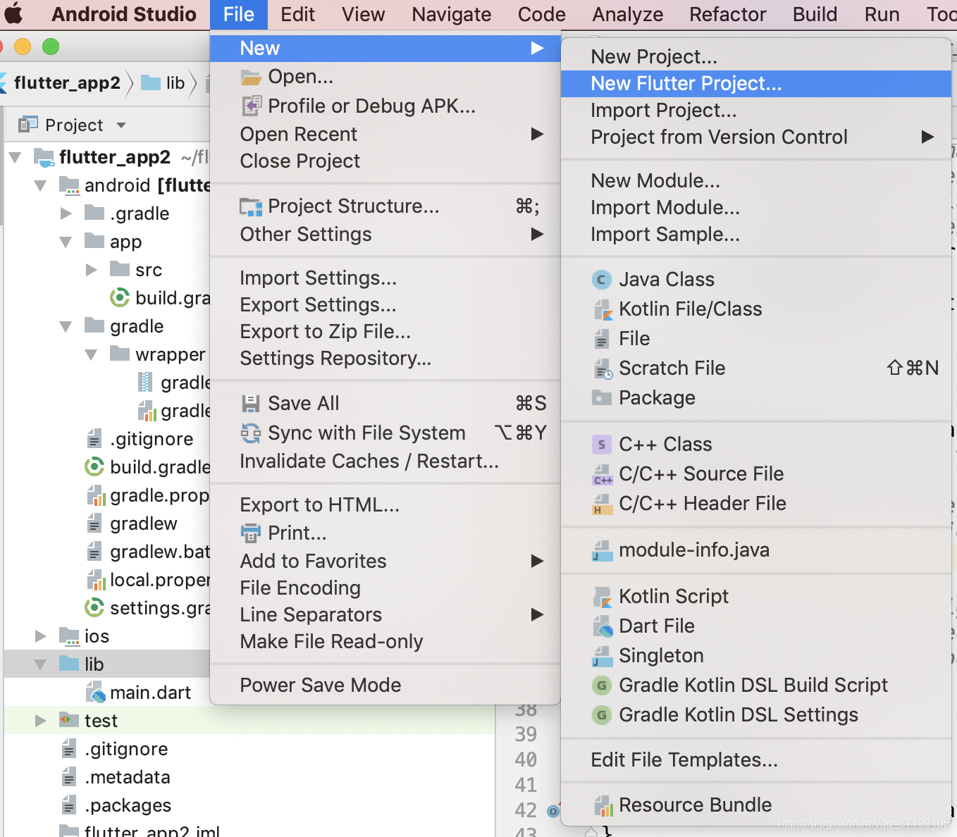 android studio flutter连接真机调试 flutter android studio 切换ios,android studio flutter连接真机调试 flutter android studio 切换ios_iOS_04,第4张