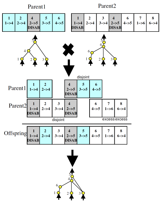 pythonGMM法解决内生性问题 python neat算法_结点_03