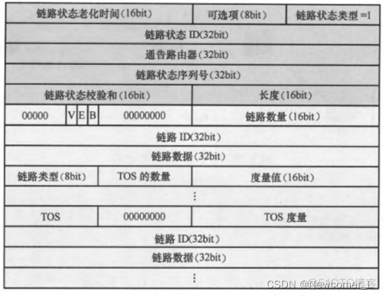 ospf type 类型维stub ospf type1 type2_OSPF_03