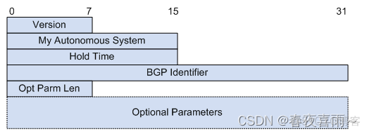 BGP是一种链路状态协议 bgp-4是一种域间路由协议_优先级_03