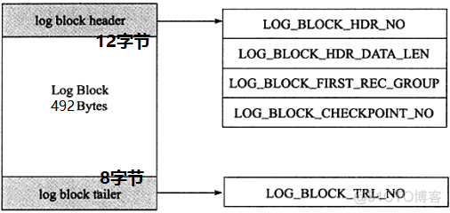 mysql中undolog和redolog在哪 mysql redo和undo的区别_mysql_04