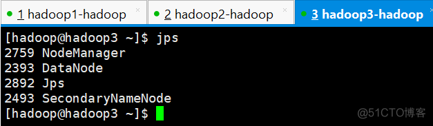 hadoop服务器4台搭建要求 服务器集群hadoop_hadoop_31